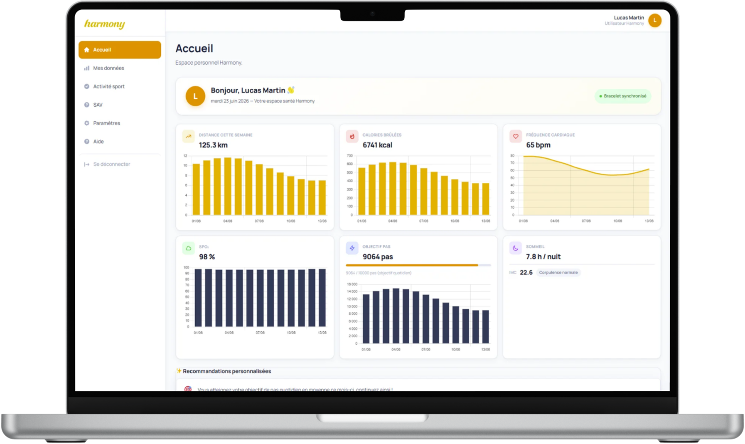 mockup-dashboard